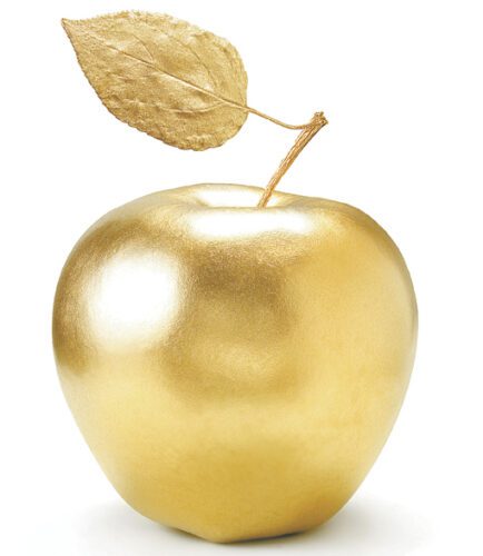 Eight of the 30 Golden Apple finalists are from Cape Coral, North Fort Myers schools